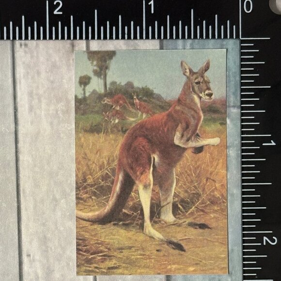 🌀10/$10🌀 Classic Grassland Animals Reusable Washi Sticker Decal - Picture 1 of 1